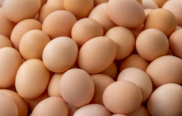 Nadan chicken egg
